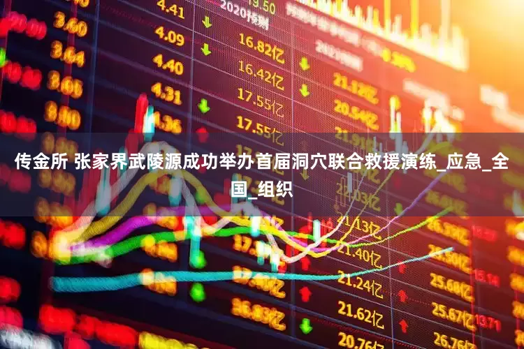 传金所 张家界武陵源成功举办首届洞穴联合救援演练_应急_全国_组织