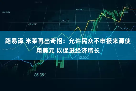 路易泽 米莱再出奇招：允许民众不申报来源使用美元 以促进经济增长