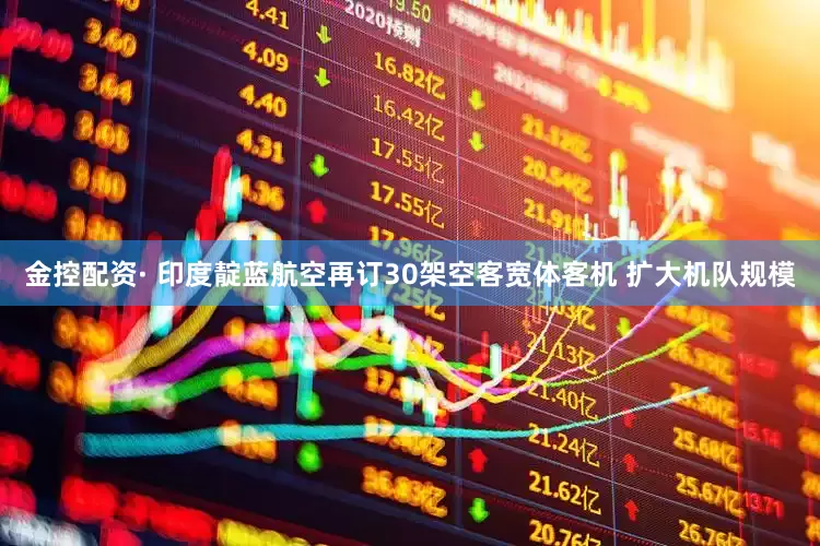 金控配资· 印度靛蓝航空再订30架空客宽体客机 扩大机队规模