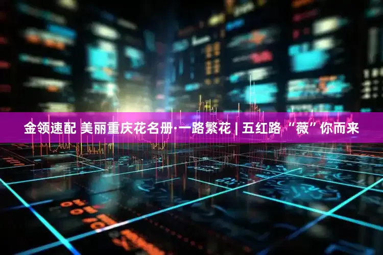 金领速配 美丽重庆花名册·一路繁花 | 五红路 “薇”你而来